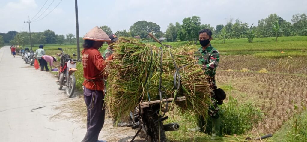 WhatsApp Image 2021-03-29 at 08.14.37