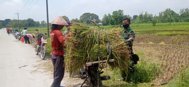 WhatsApp Image 2021-03-29 at 08.14.37