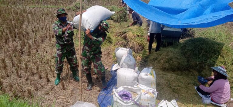 WhatsApp Image 2021-03-29 at 08.14.59