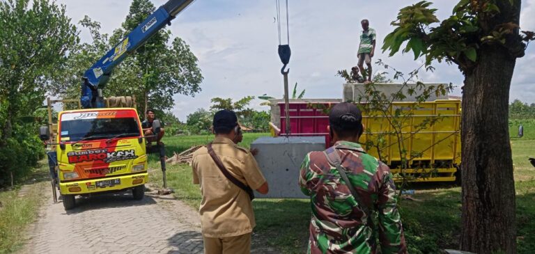 WhatsApp Image 2021-03-29 at 08.16.07