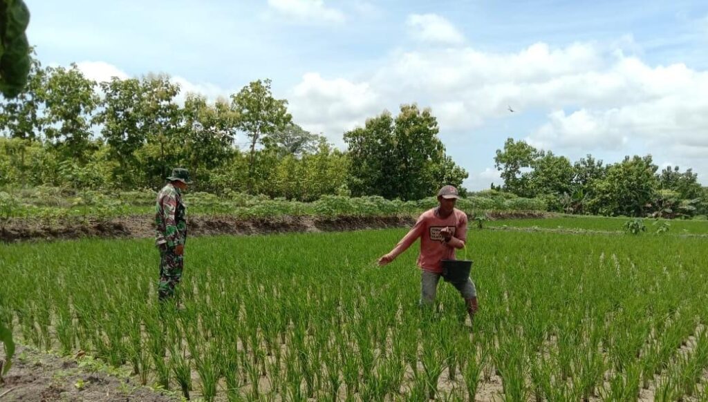 WhatsApp Image 2021-03-29 at 08.17.50