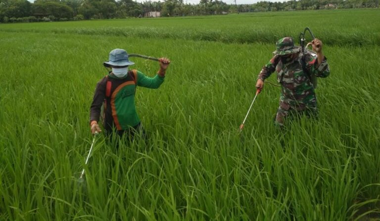 WhatsApp Image 2021-03-29 at 08.19.48