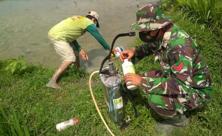 WhatsApp Image 2021-03-29 at 08.20.04