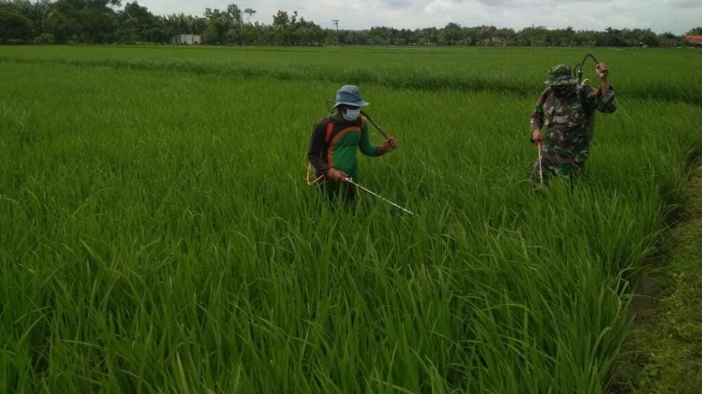 WhatsApp Image 2021-03-29 at 08.20.28