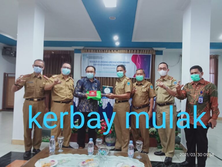 WhatsApp Image 2021-03-30 at 00.09.04