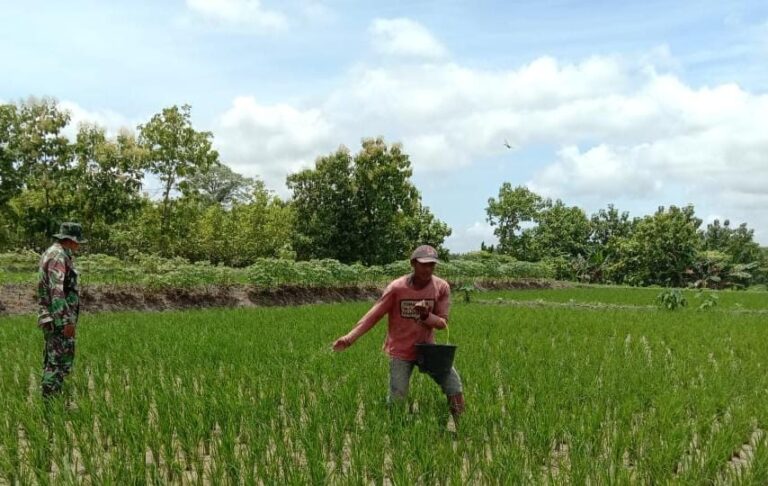 WhatsApp Image 2021-03-30 at 08.02.15