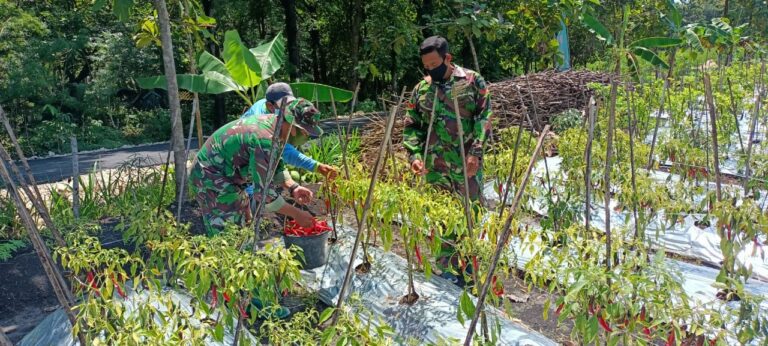 WhatsApp Image 2021-03-30 at 08.11.33