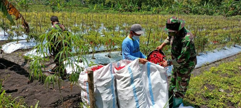 WhatsApp Image 2021-03-30 at 08.12.03