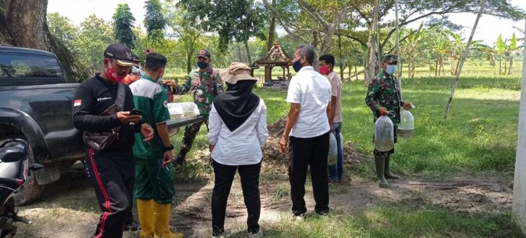 WhatsApp Image 2021-03-30 at 08.38.46