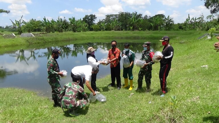 WhatsApp Image 2021-03-30 at 08.47.09