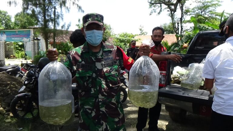 WhatsApp Image 2021-03-30 at 08.47.42