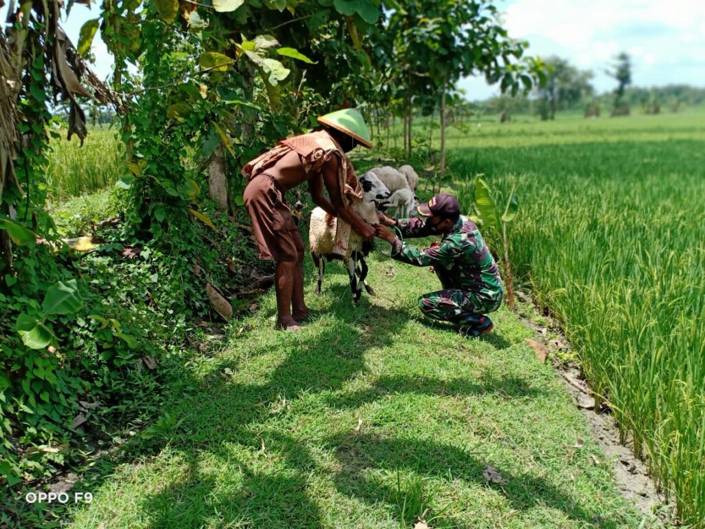 WhatsApp Image 2021-03-30 at 08.48.26