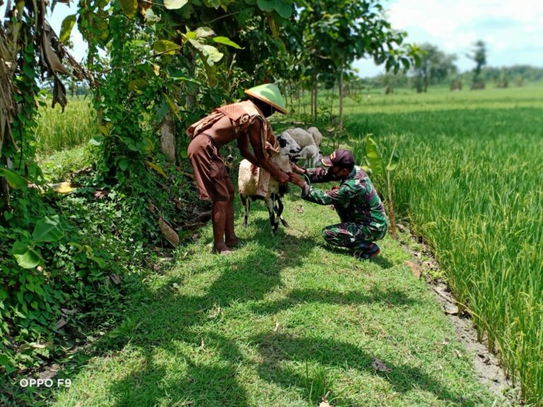 WhatsApp Image 2021-03-30 at 08.48.26