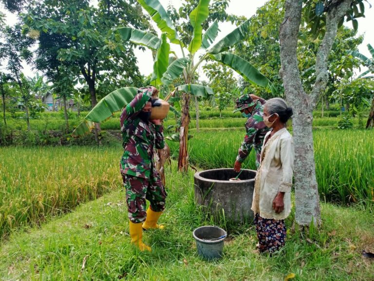 WhatsApp Image 2021-03-31 at 08.19.00