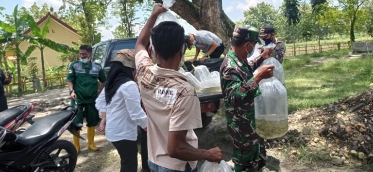 WhatsApp Image 2021-03-31 at 08.34.00