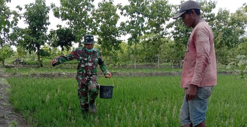 WhatsApp Image 2021-03-31 at 08.35.22