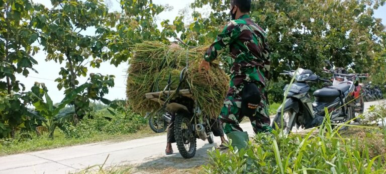 WhatsApp Image 2021-03-31 at 08.39.27