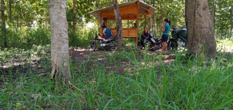 WhatsApp Image 2021-03-31 at 09.02.02