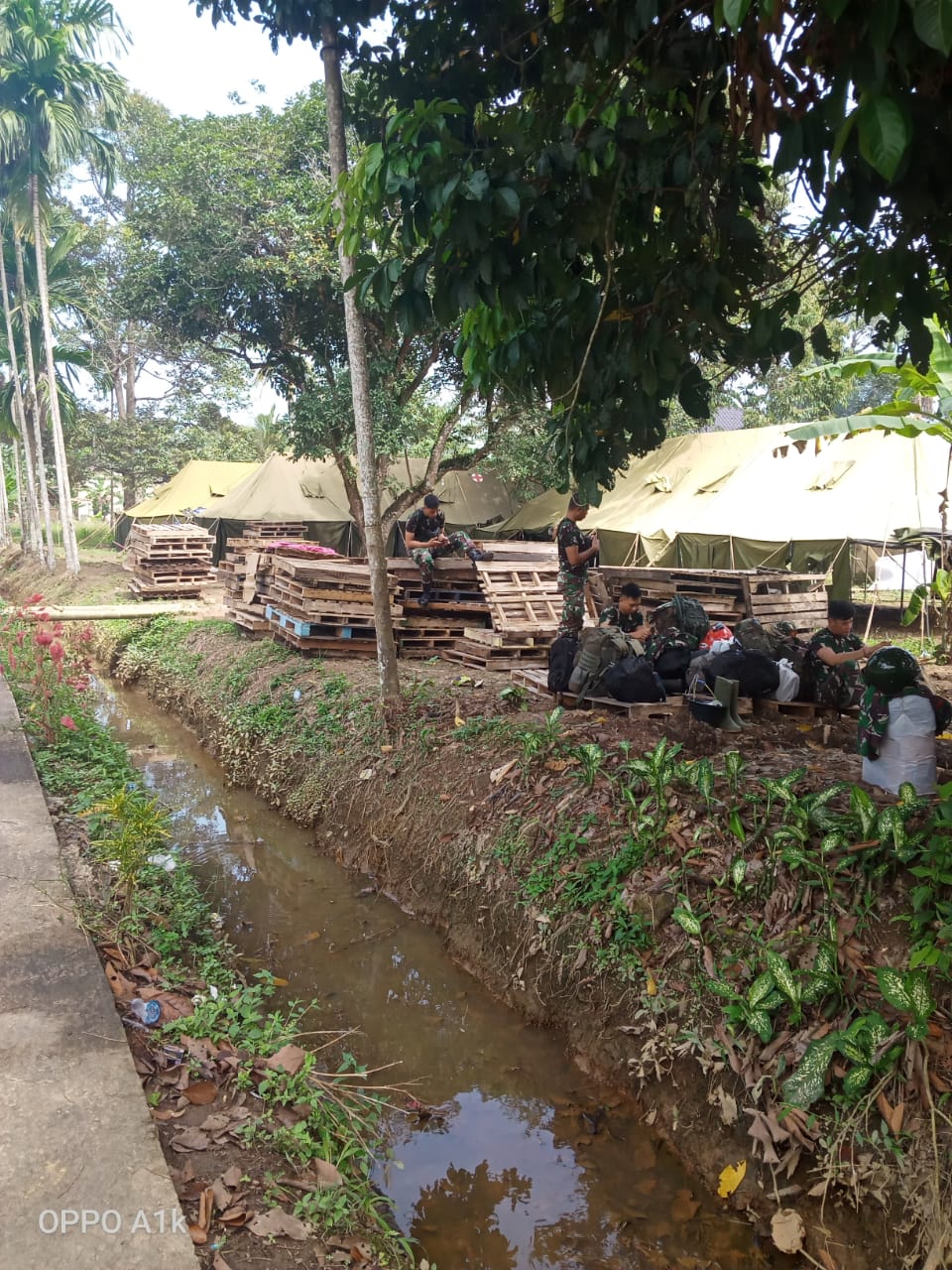 WhatsApp Image 2021-03-31 at 11.59.54