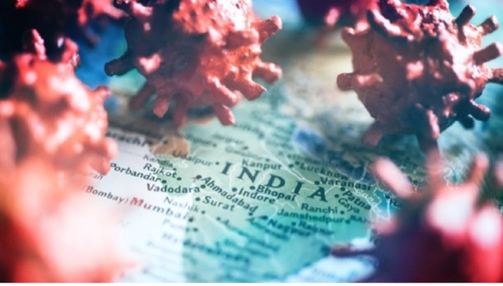 WhatsApp Image 2021-05-01 at 18.43.00