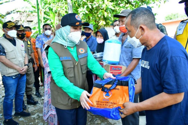 WhatsApp Image 2021-05-16 at 03.00.15