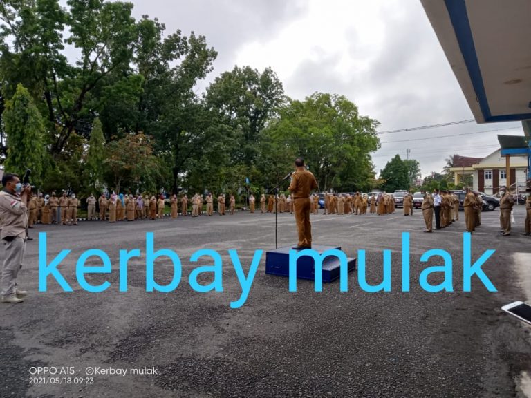 WhatsApp Image 2021-05-17 at 23.55.26