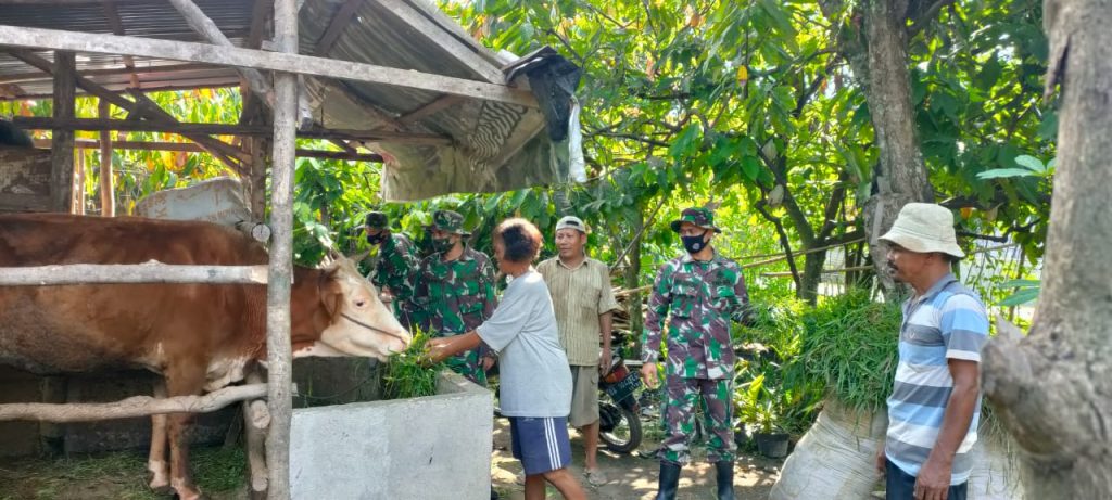 WhatsApp Image 2021-05-24 at 15.12.59