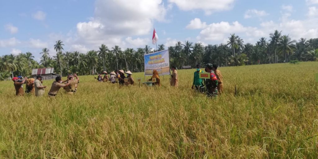 WhatsApp Image 2021-05-26 at 05.50.55(1)