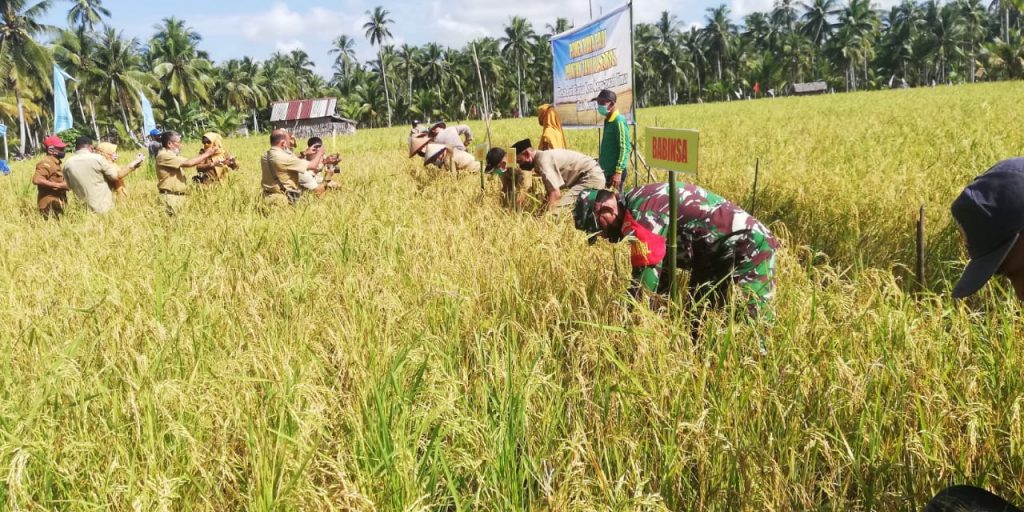 WhatsApp Image 2021-05-27 at 12.26.00