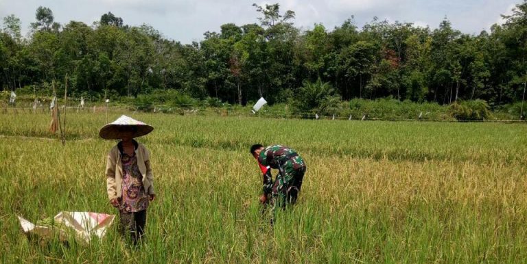 WhatsApp Image 2021-05-27 at 12.45.54(2)