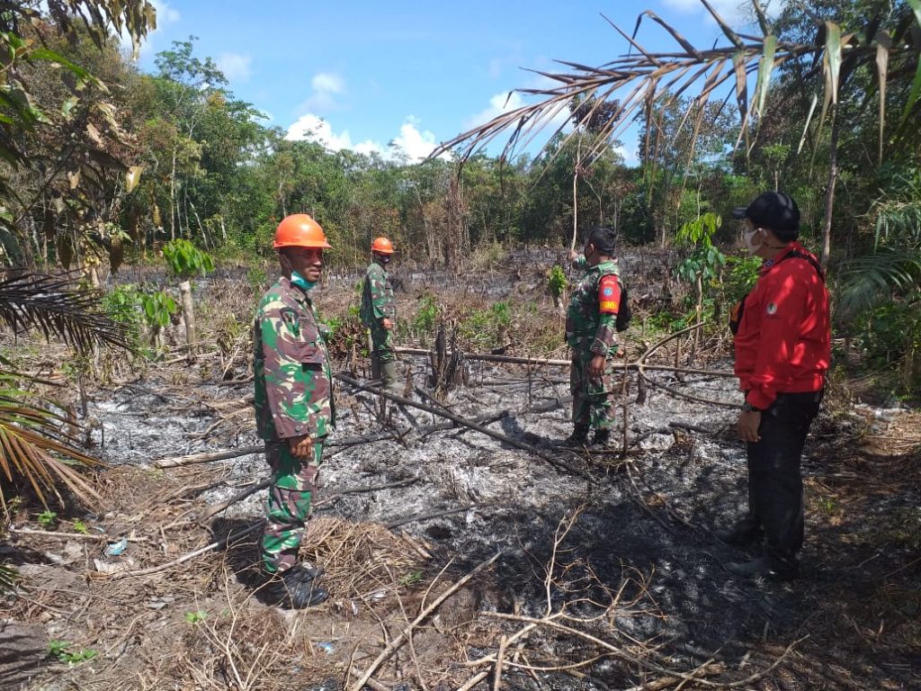 WhatsApp Image 2021-05-28 at 11.31.02(1)