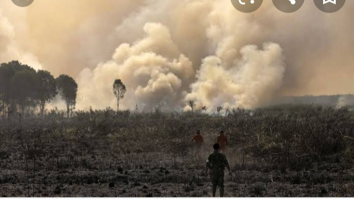 WhatsApp Image 2021-05-29 at 06.10.06