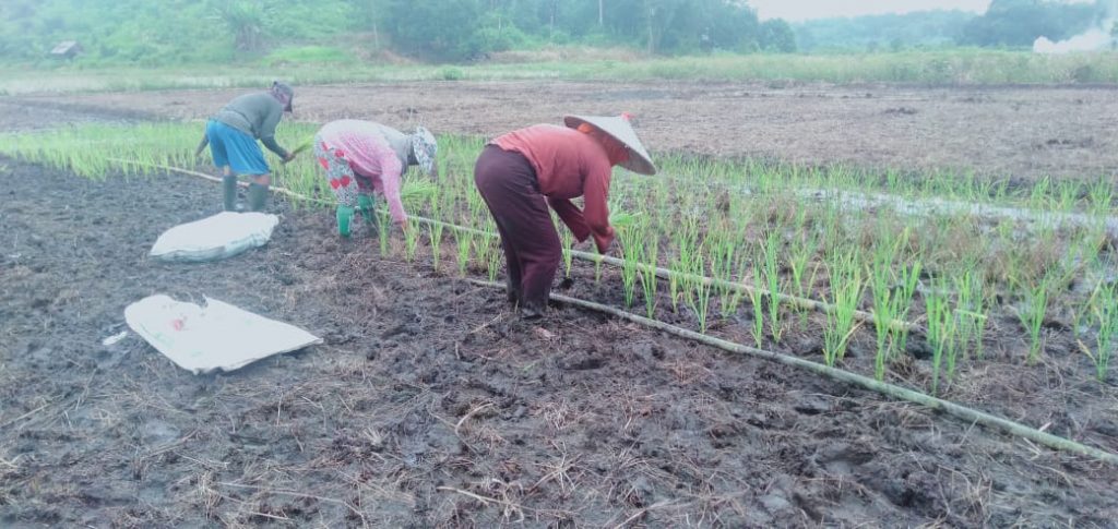 WhatsApp Image 2021-05-31 at 13.35.06(1)