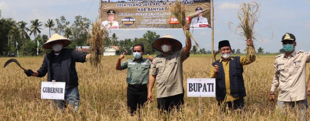 WhatsApp Image 2021-06-01 at 17.43.33(1)