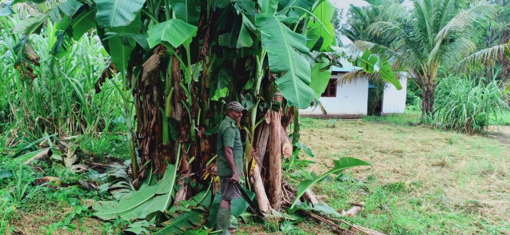 WhatsApp Image 2021-06-02 at 11.54.03