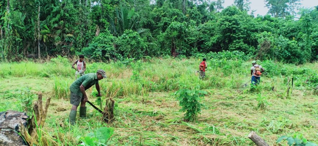 WhatsApp Image 2021-06-02 at 11.55.25