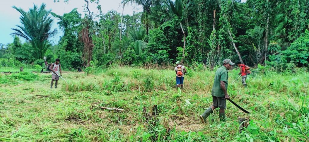 WhatsApp Image 2021-06-02 at 12.00.16