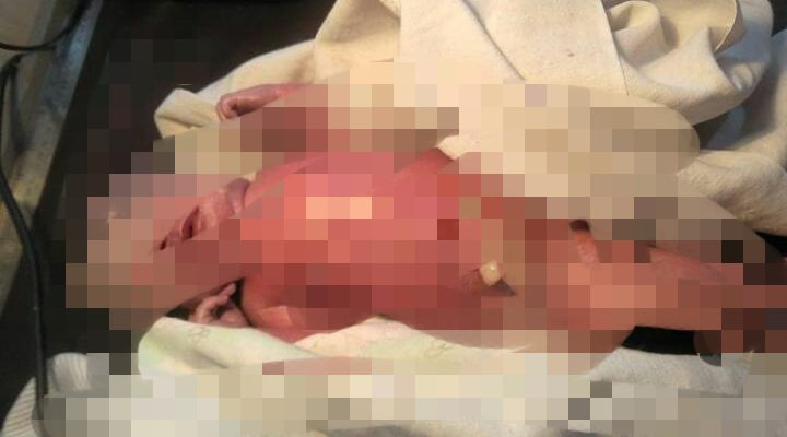 WhatsApp Image 2021-06-03 at 00.08.17