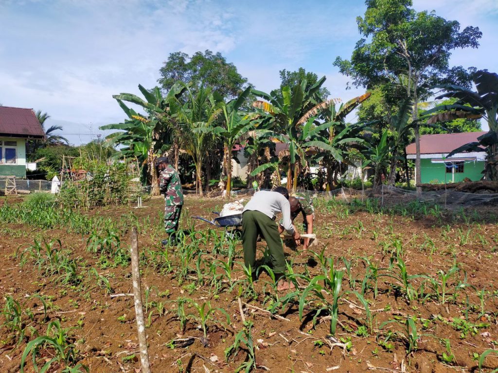 WhatsApp Image 2021-06-03 at 06.30.50