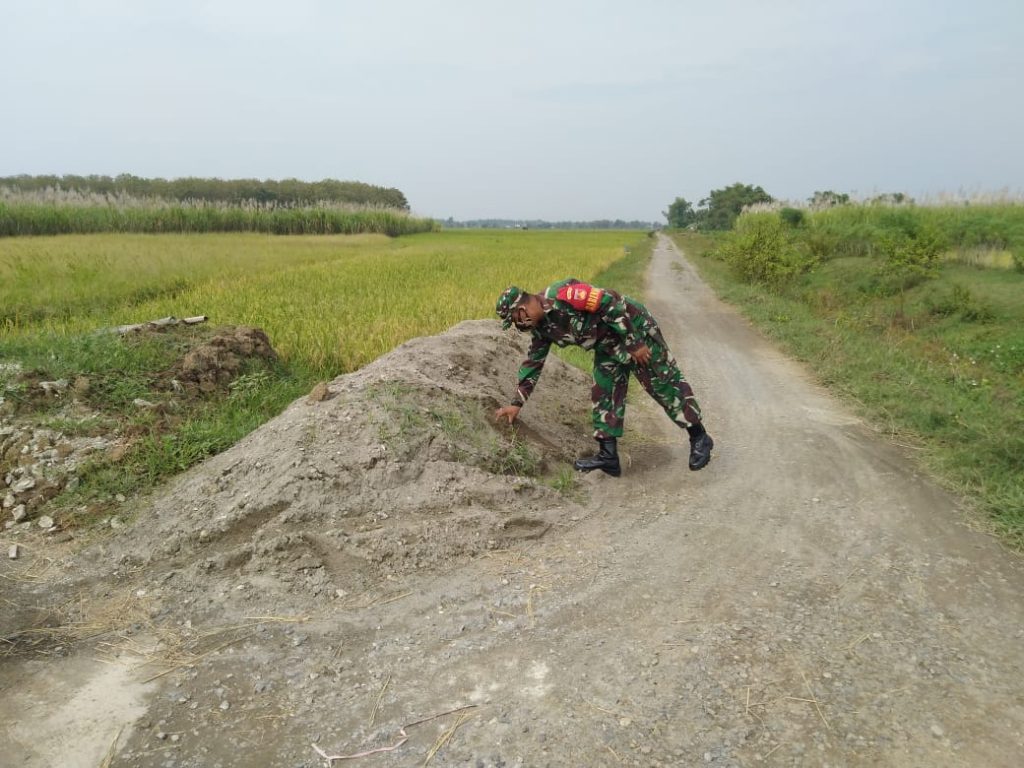 WhatsApp Image 2021-06-03 at 10.43.51