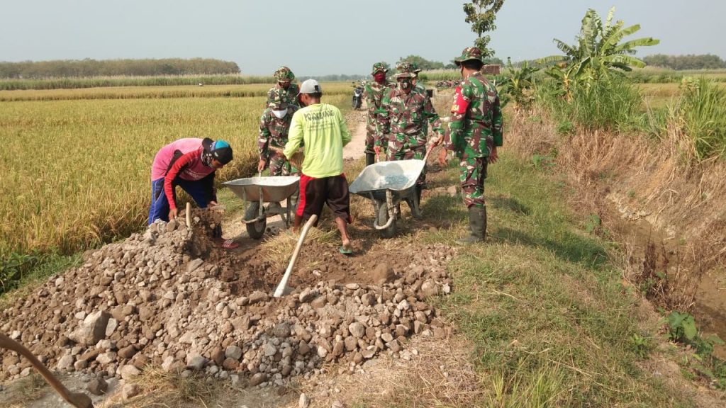 WhatsApp Image 2021-06-03 at 11.02.00