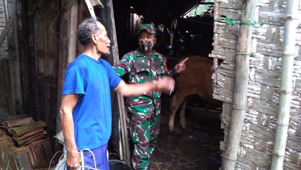 WhatsApp Image 2021-06-03 at 11.02.34