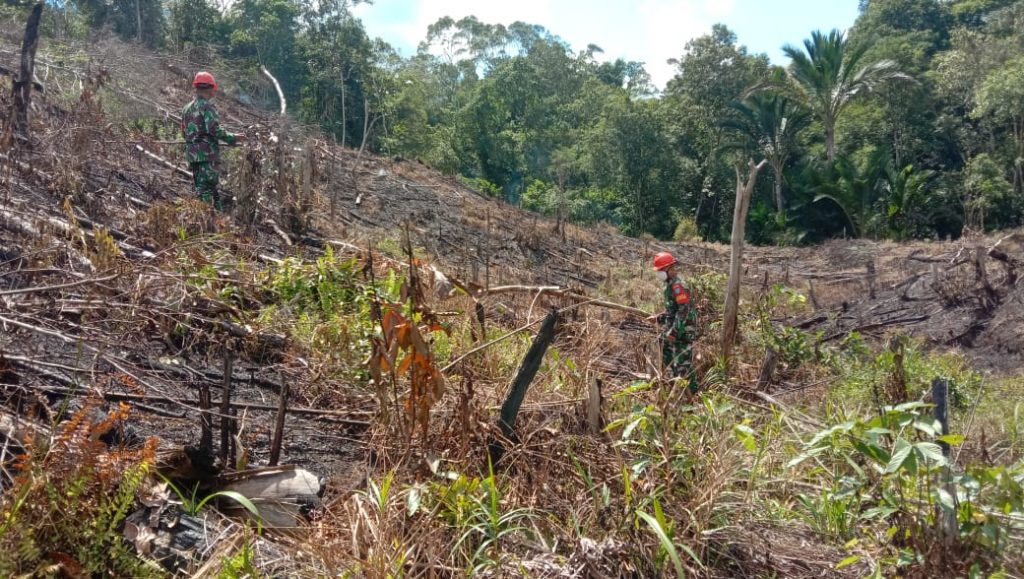 WhatsApp Image 2021-06-04 at 05.44.46