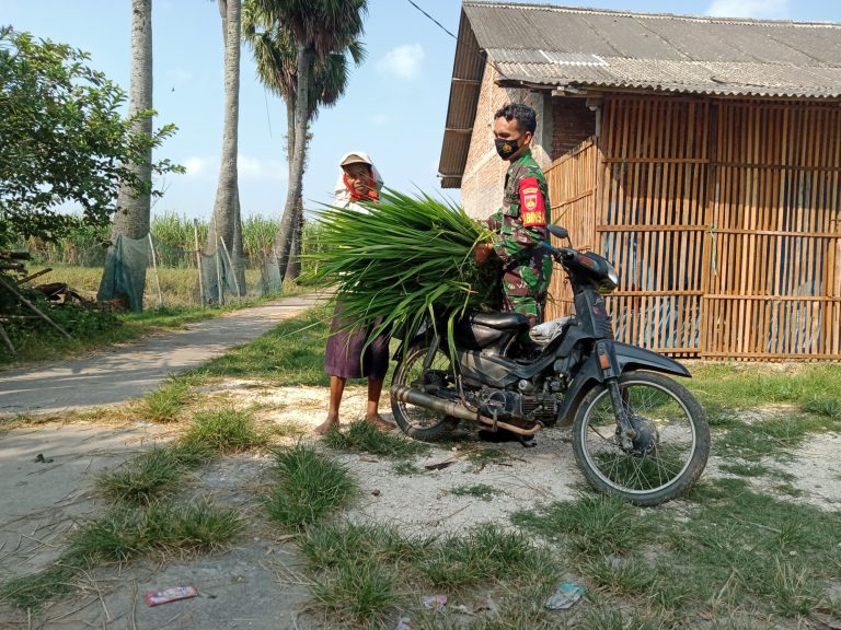 WhatsApp Image 2021-06-05 at 09.09.57