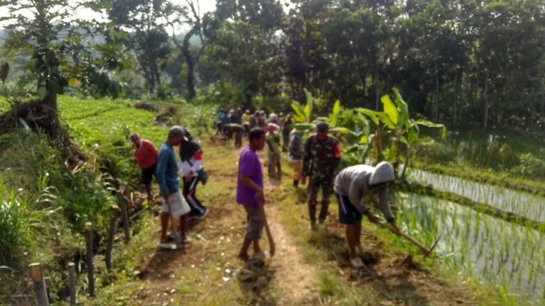 WhatsApp Image 2021-06-05 at 09.10.09