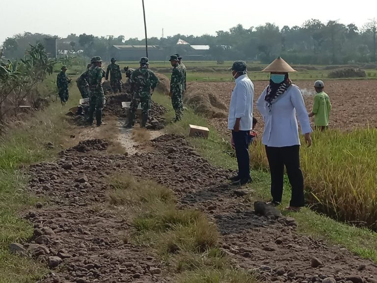 WhatsApp Image 2021-06-05 at 09.12.43