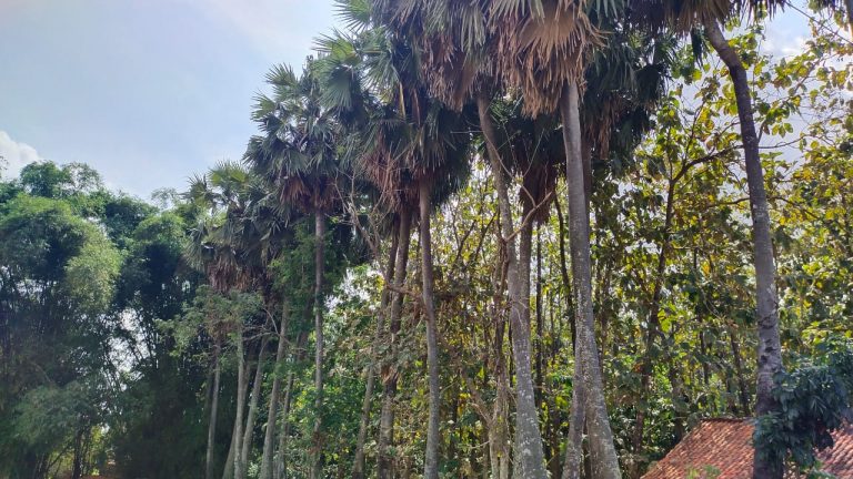 WhatsApp Image 2021-06-05 at 09.13.39