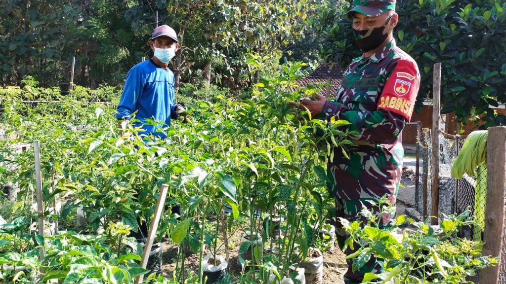 WhatsApp Image 2021-06-06 at 18.53.07