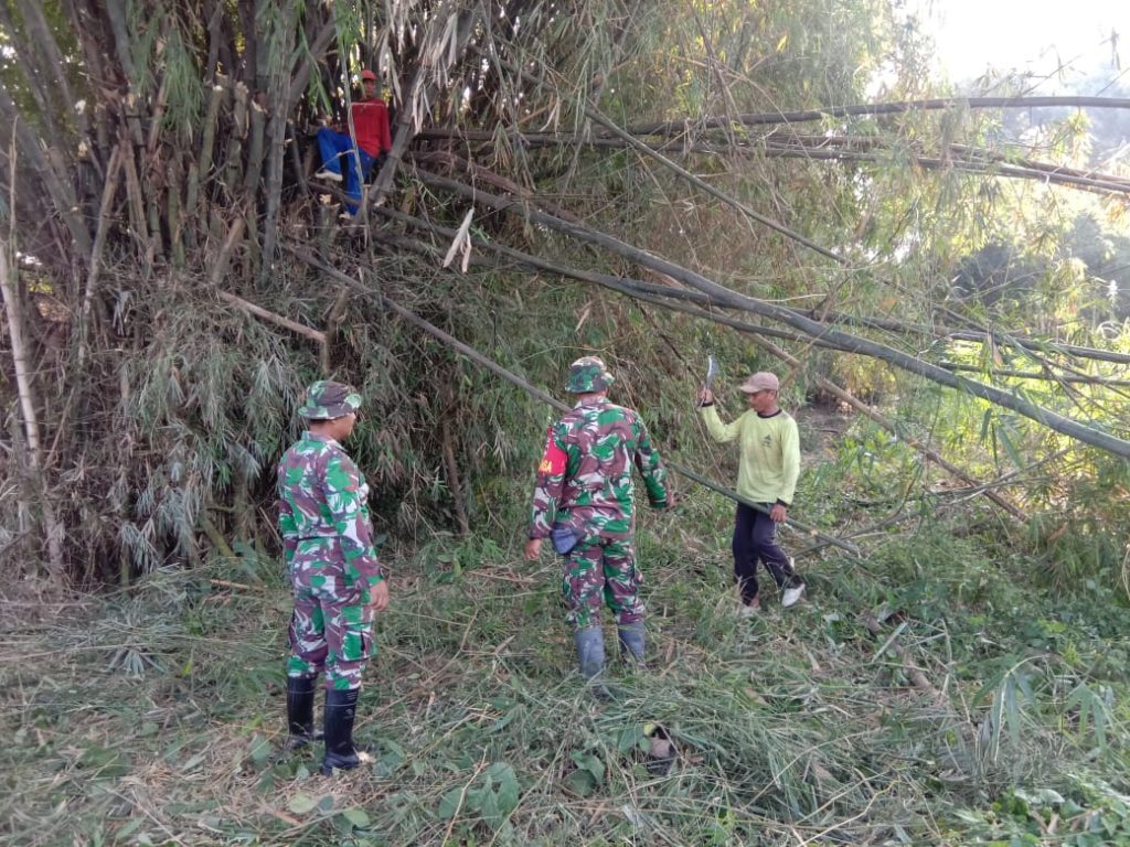 WhatsApp Image 2021-06-06 at 18.55.33