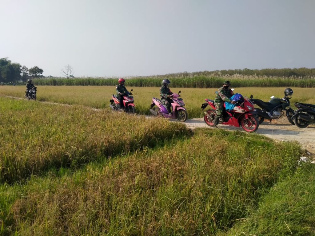 WhatsApp Image 2021-06-06 at 19.19.31